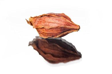 《霍格沃茨的遗产》新演示短片 展示学校北塔区域